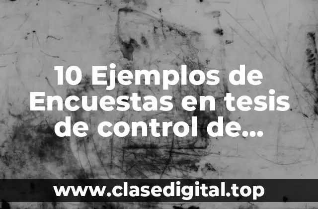 10 Ejemplos de Encuestas en tesis de control de inventarios