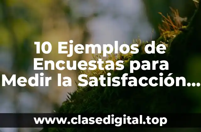 10 Ejemplos de Encuestas para Medir la Satisfacción del Cliente Interno