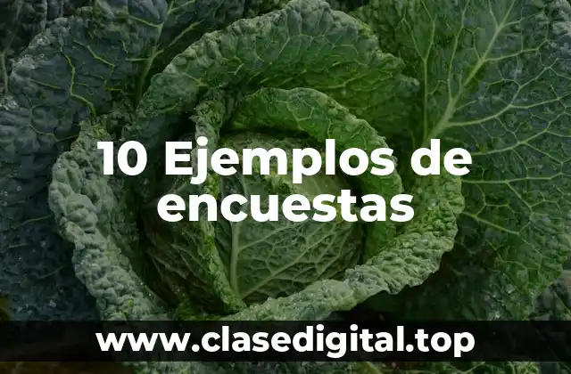 10 Ejemplos de encuestas