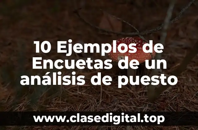 10 Ejemplos de Encuetas de un análisis de puesto