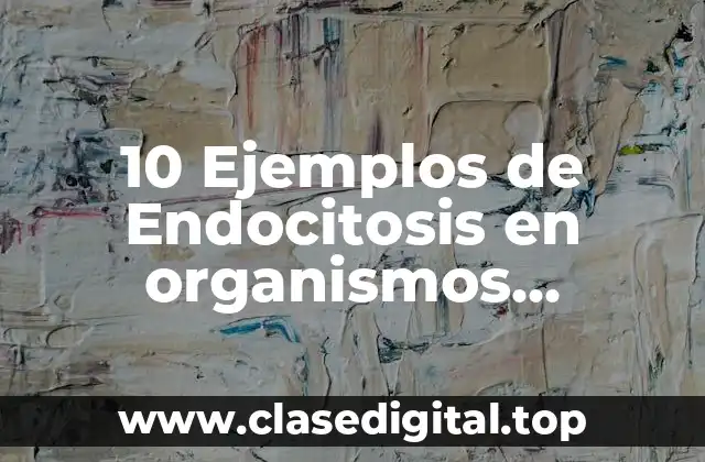 Ejemplos de endocitosis en organismos unicelulares