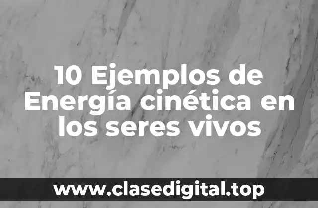 10 Ejemplos de Energía cinética en los seres vivos