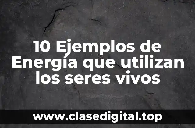 10 Ejemplos de Energía que utilizan los seres vivos