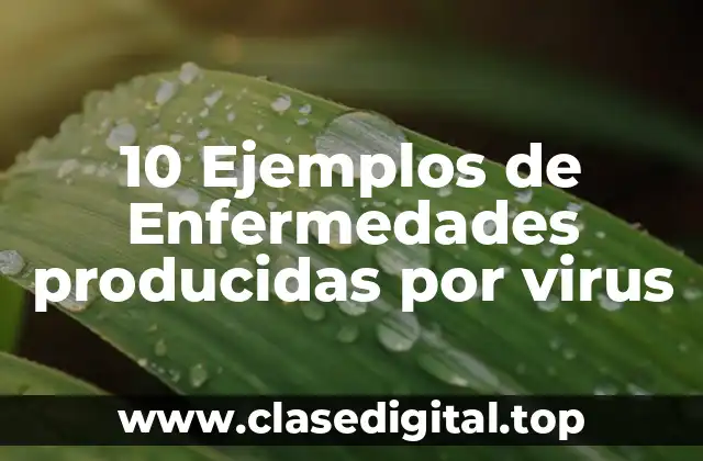 10 Ejemplos de Enfermedades producidas por virus