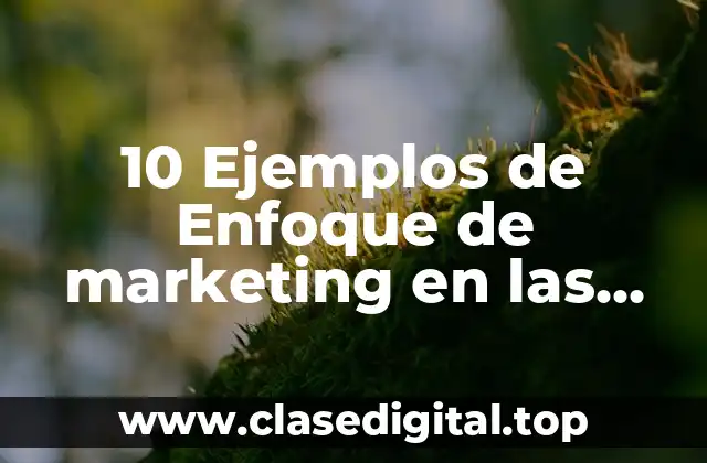 10 Ejemplos de Enfoque de marketing en las empresas