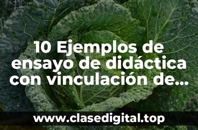 10 Ejemplos de ensayo de didáctica con vinculación de enfermería