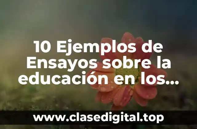 10 Ejemplos de Ensayos sobre la educación en los niños