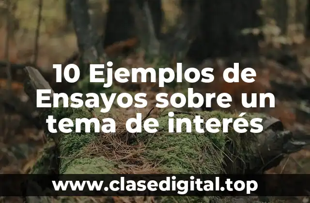 10 Ejemplos de Ensayos sobre un tema de interés