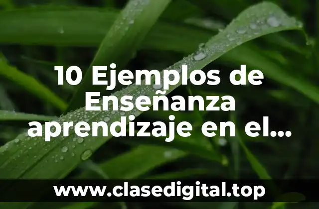 10 Ejemplos de Enseñanza aprendizaje en el aula
