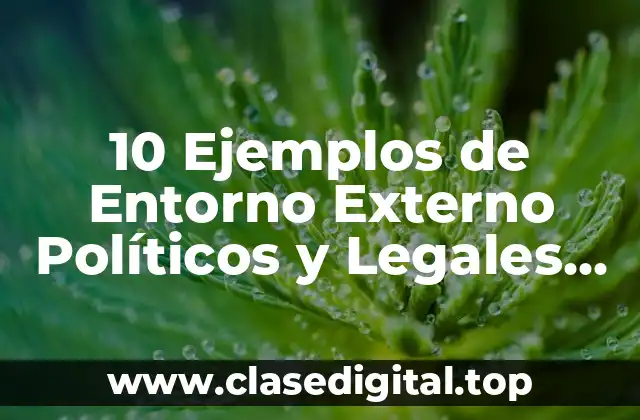 10 Ejemplos de Entorno Externo Políticos y Legales de una Empresa