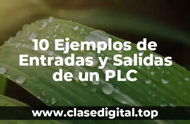 Ejemplos de Entradas y Salidas de un PLC