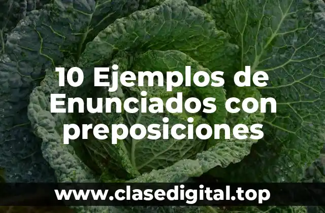 10 Ejemplos de Enunciados con preposiciones