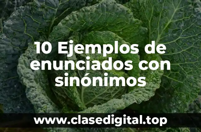 10 Ejemplos de enunciados con sinónimos