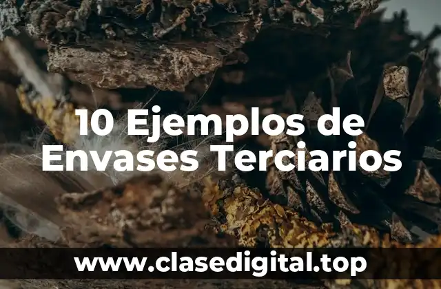 10 Ejemplos de Envases Terciarios