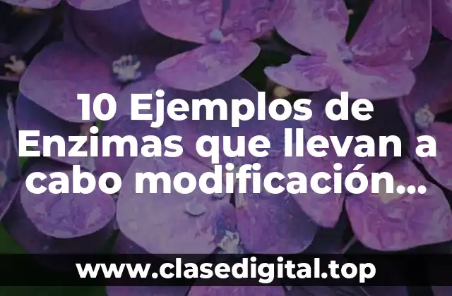 10 Ejemplos de Enzimas que llevan a cabo modificación covalente