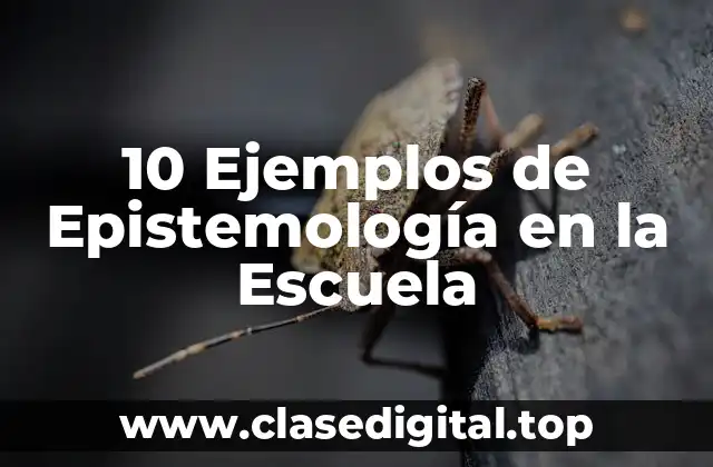 10 Ejemplos de Epistemología en la Escuela