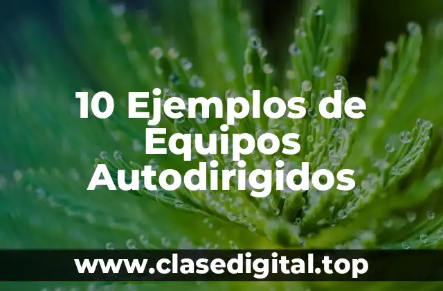 10 Ejemplos de Equipos Autodirigidos