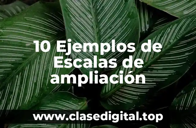 10 Ejemplos de Escalas de ampliación