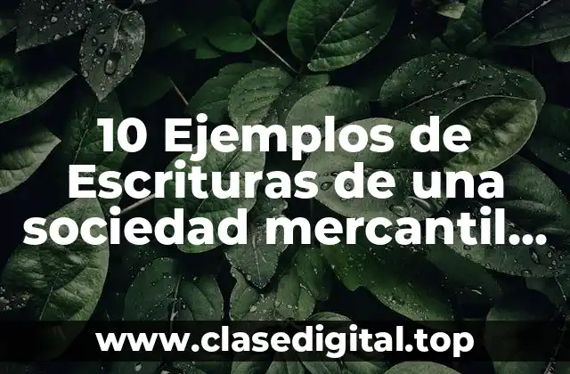 10 Ejemplos de Escrituras de una sociedad mercantil en Puerto Rico