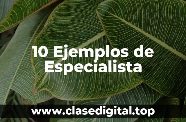 10 Ejemplos de Especialista