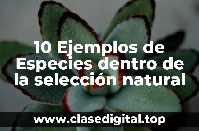 10 Ejemplos de Especies dentro de la selección natural