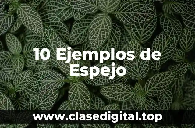 10 Ejemplos de Espejo