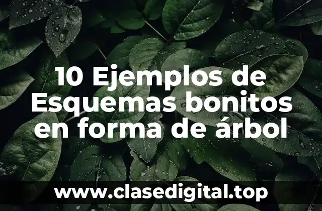 10 Ejemplos de Esquemas bonitos en forma de árbol