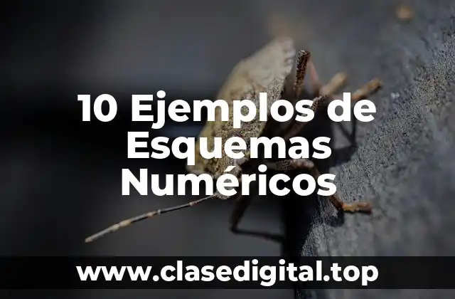10 Ejemplos de Esquemas Numéricos