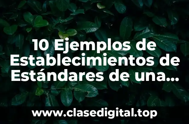 10 Ejemplos de Establecimientos de Estándares de una Empresa