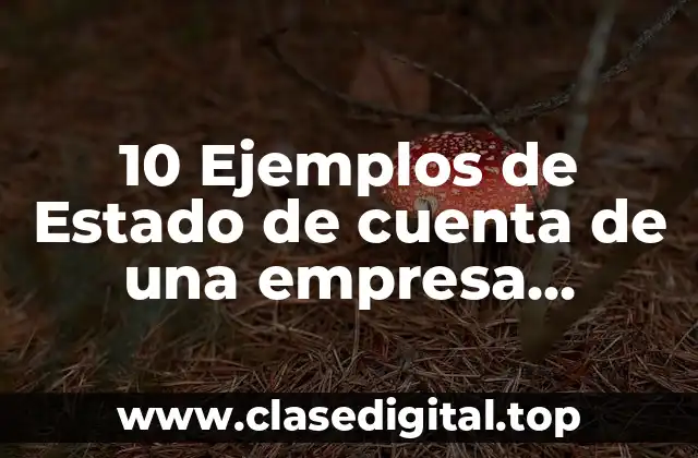 10 Ejemplos de Estado de cuenta de una empresa comercial