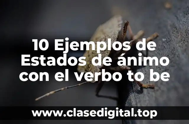 10 Ejemplos de Estados de ánimo con el verbo to be