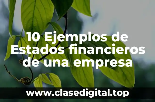 10 Ejemplos de Estados financieros de una empresa