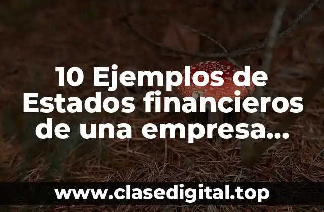 10 Ejemplos de Estados financieros de una empresa comercial