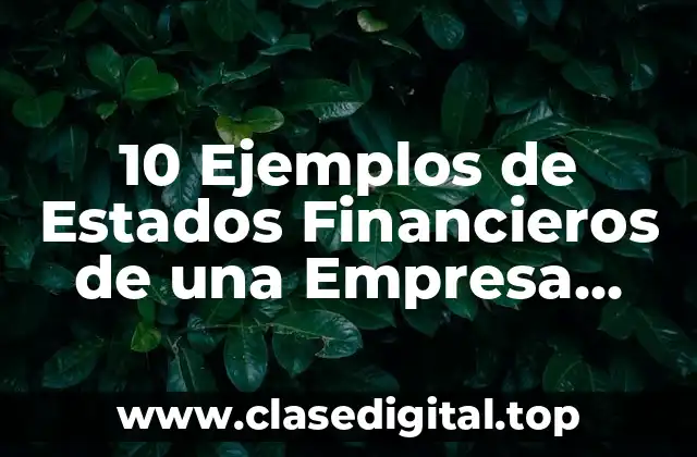 Ejemplos de Estados Financieros de una Empresa Comercial