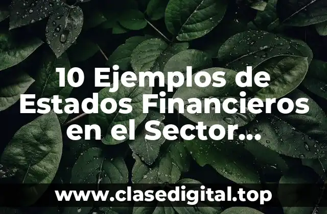 10 Ejemplos de Estados Financieros en el Sector Agropecuario