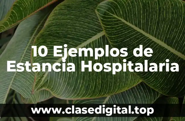 10 Ejemplos de Estancia Hospitalaria