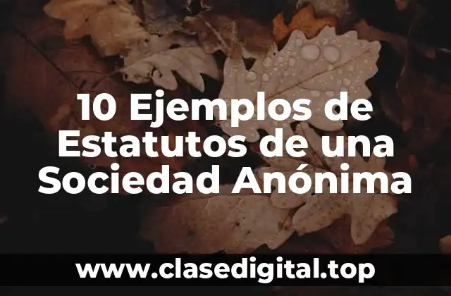 10 Ejemplos de Estatutos de una Sociedad Anónima