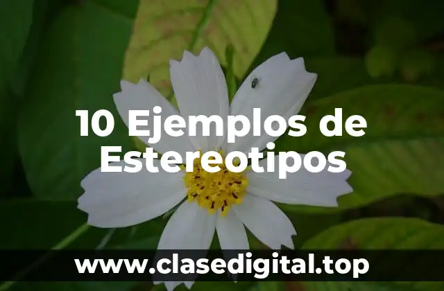 10 Ejemplos de Estereotipos