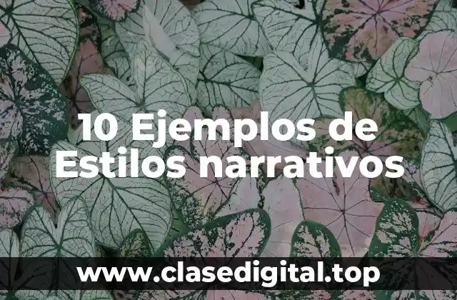 Ejemplos de estilos narrativos
