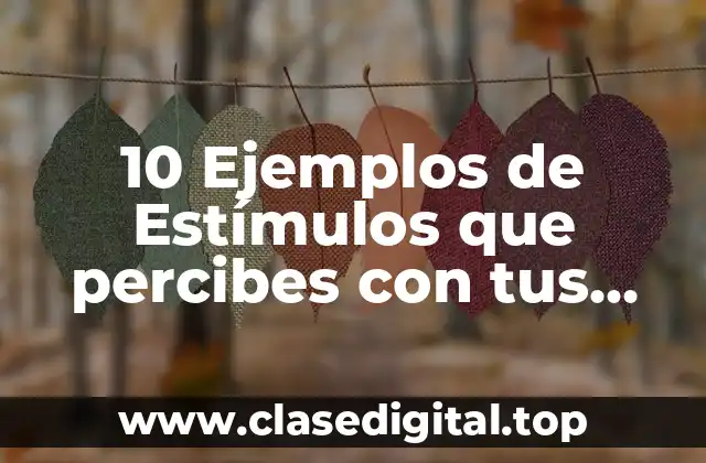 10 Ejemplos de Estímulos que percibes con tus sentidos