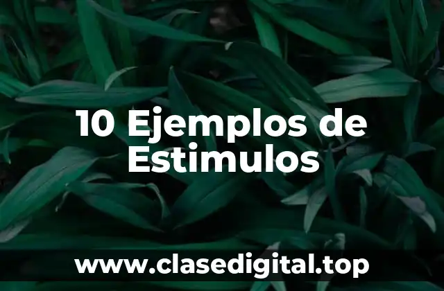 10 Ejemplos de Estimulos