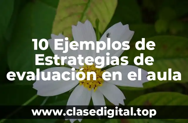 10 Ejemplos de Estrategias de evaluación en el aula