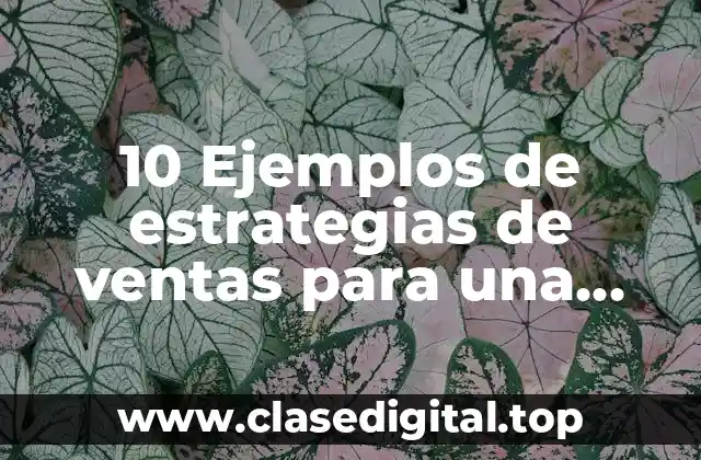 10 Ejemplos de estrategias de ventas para una empresa