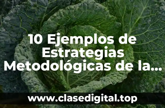 10 Ejemplos de Estrategias Metodológicas de la Educación Ambiental