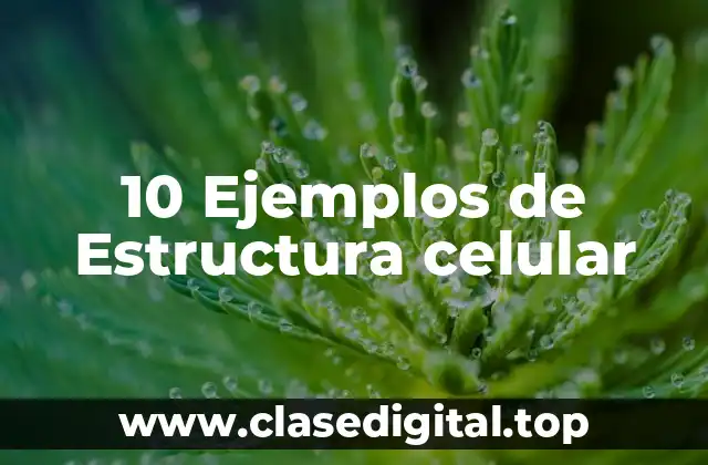 10 Ejemplos de Estructura celular