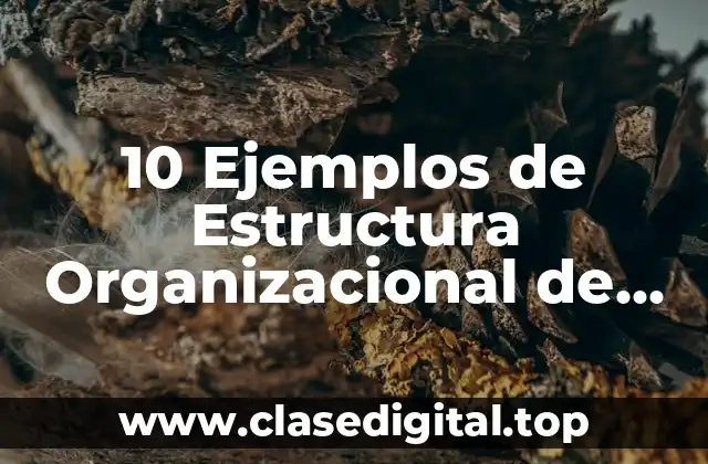 10 Ejemplos de Estructura Organizacional de un Centro Comercial