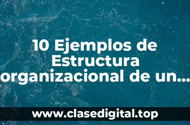 10 Ejemplos de Estructura organizacional de un sistema pecuario