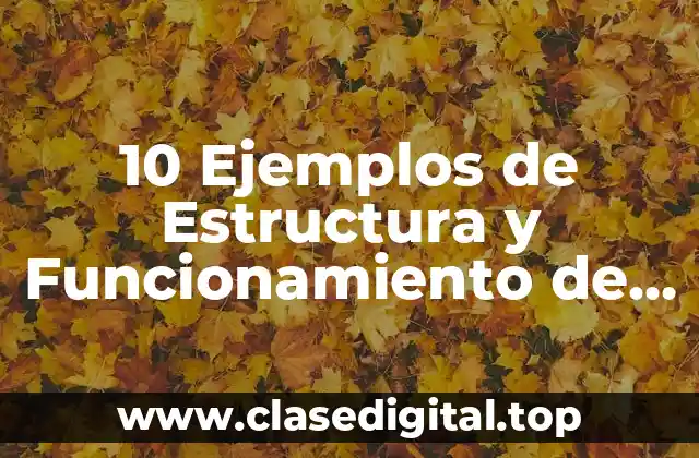 10 Ejemplos de Estructura y Funcionamiento de una Empresa