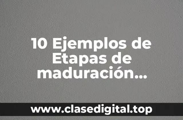 10 Ejemplos de Etapas de maduración tecnológica de un sistema de información