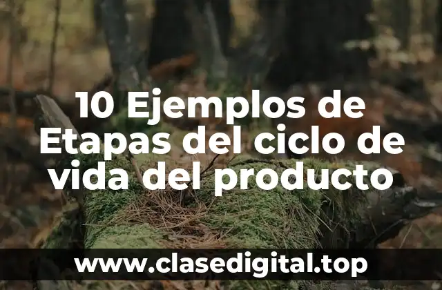 10 Ejemplos de Etapas del ciclo de vida del producto